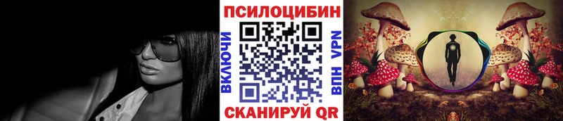 магазин  наркотиков  Монино  Псилоцибиновые грибы Psilocybine cubensis 